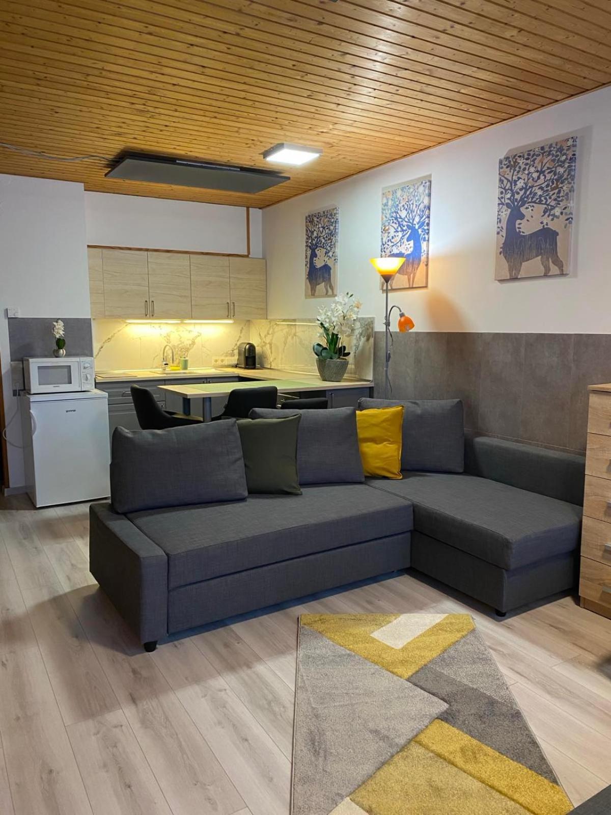 Cosy Apartment Tauplitz Buitenkant foto